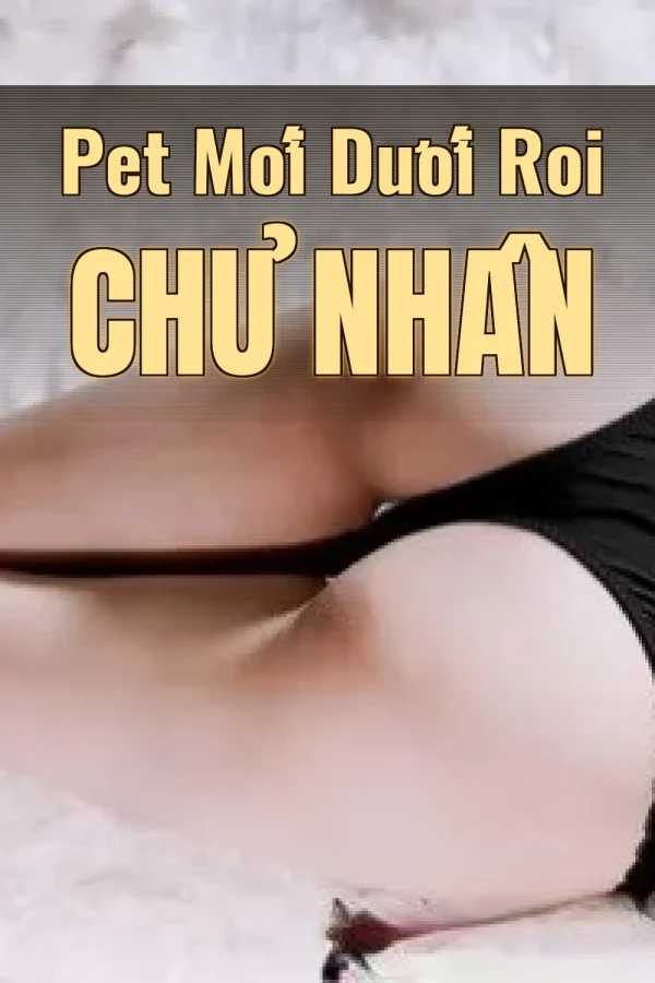 Pet Mới Dưới Roi Chủ Nhân