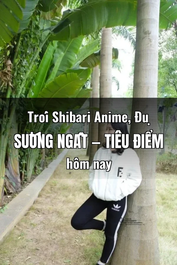 Trói Shibari Anime, Đụ Sướng Ngất — Tiêu điểm hôm nay