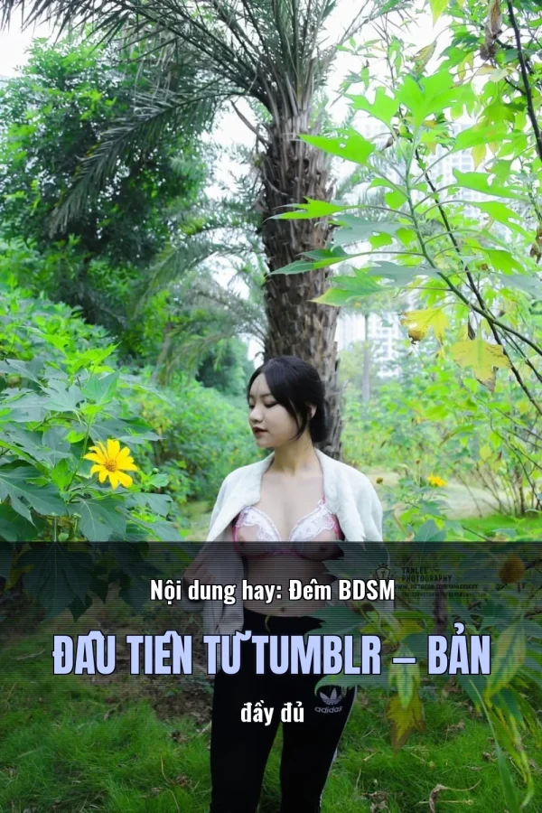 Nội dung hay: Đêm BDSM Đầu Tiên Từ Tumblr — Bản đầy đủ