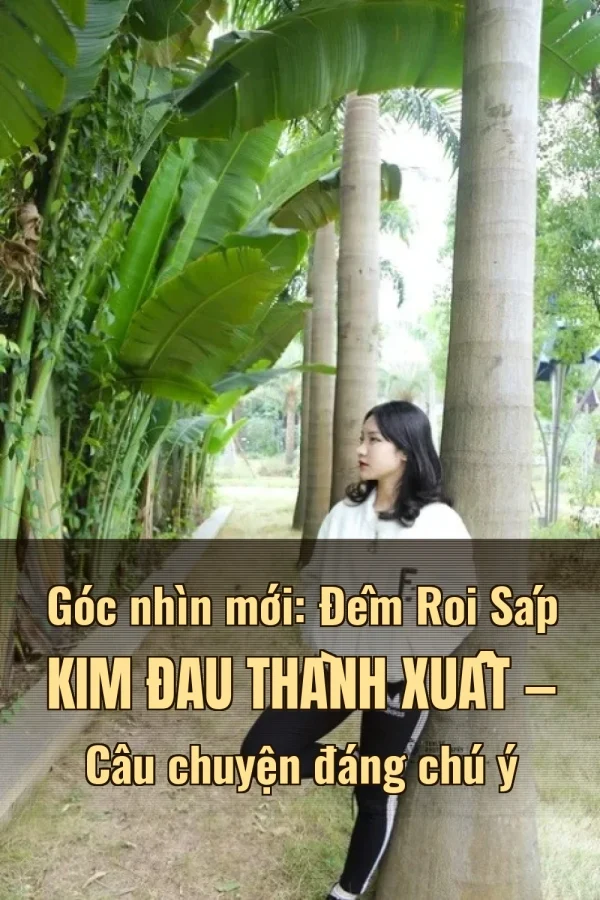 Góc nhìn mới: Đêm Roi Sáp Kim Đau Thành Xuất — Câu chuyện đáng chú ý