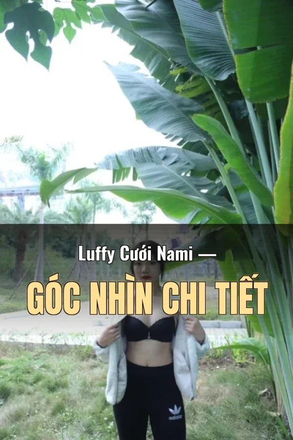 Luffy Cưới Nami — Góc nhìn chi tiết